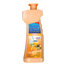 Multi-Purpose Household Deodorizer
